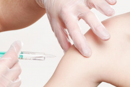 Paraguai passa a exigir vacina da febre amarela